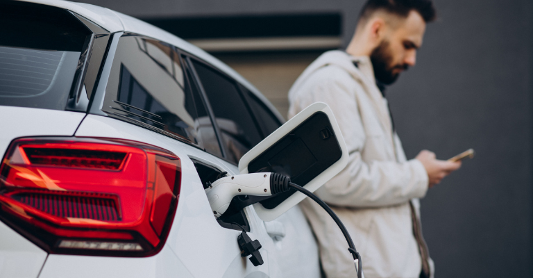 Quálitas para BYD Dolphin