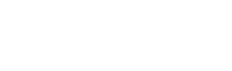 qualitas logo