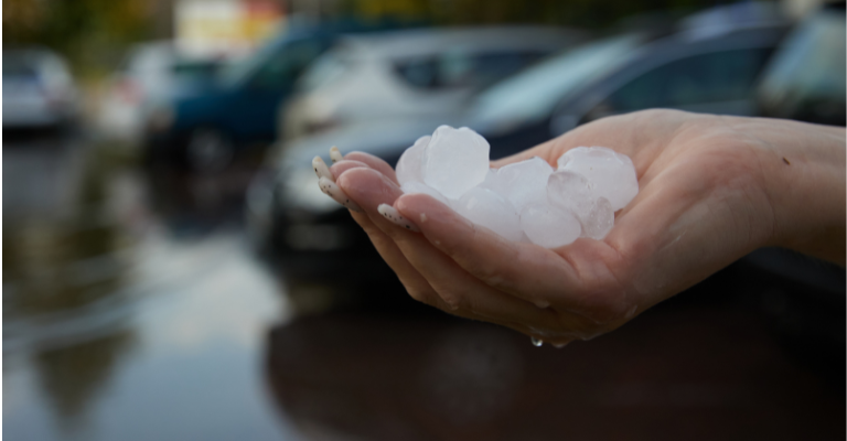 Seguro contra granizo